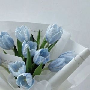 Meet your Posher, Angel